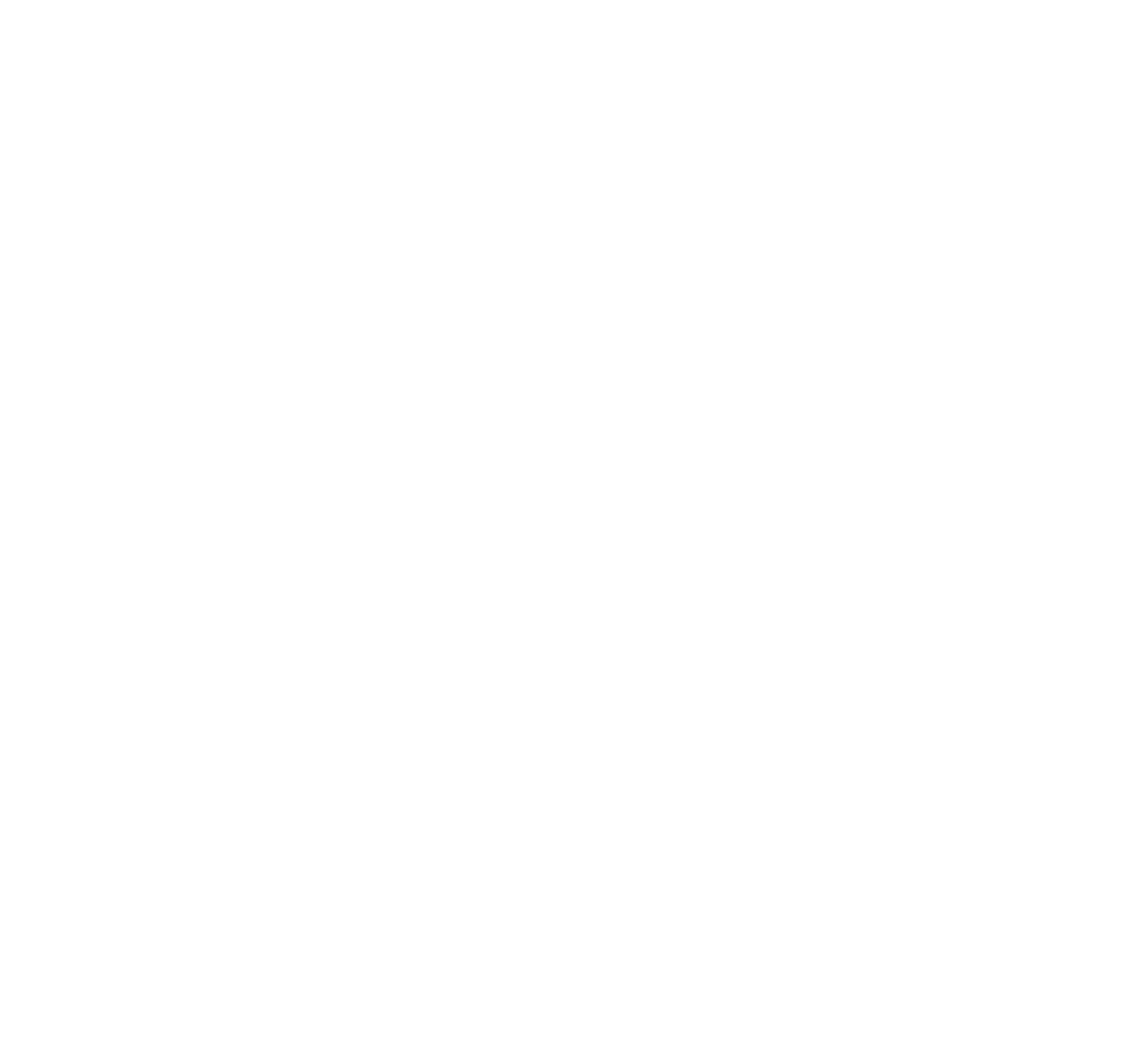سلمی